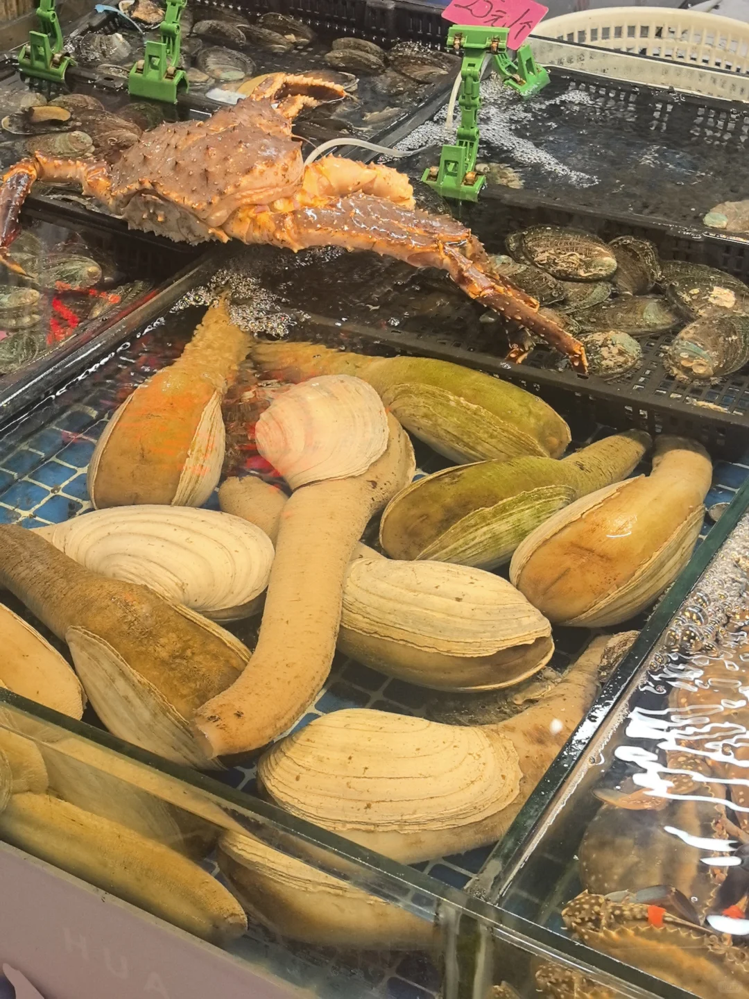 大连海鲜 华北路市场??