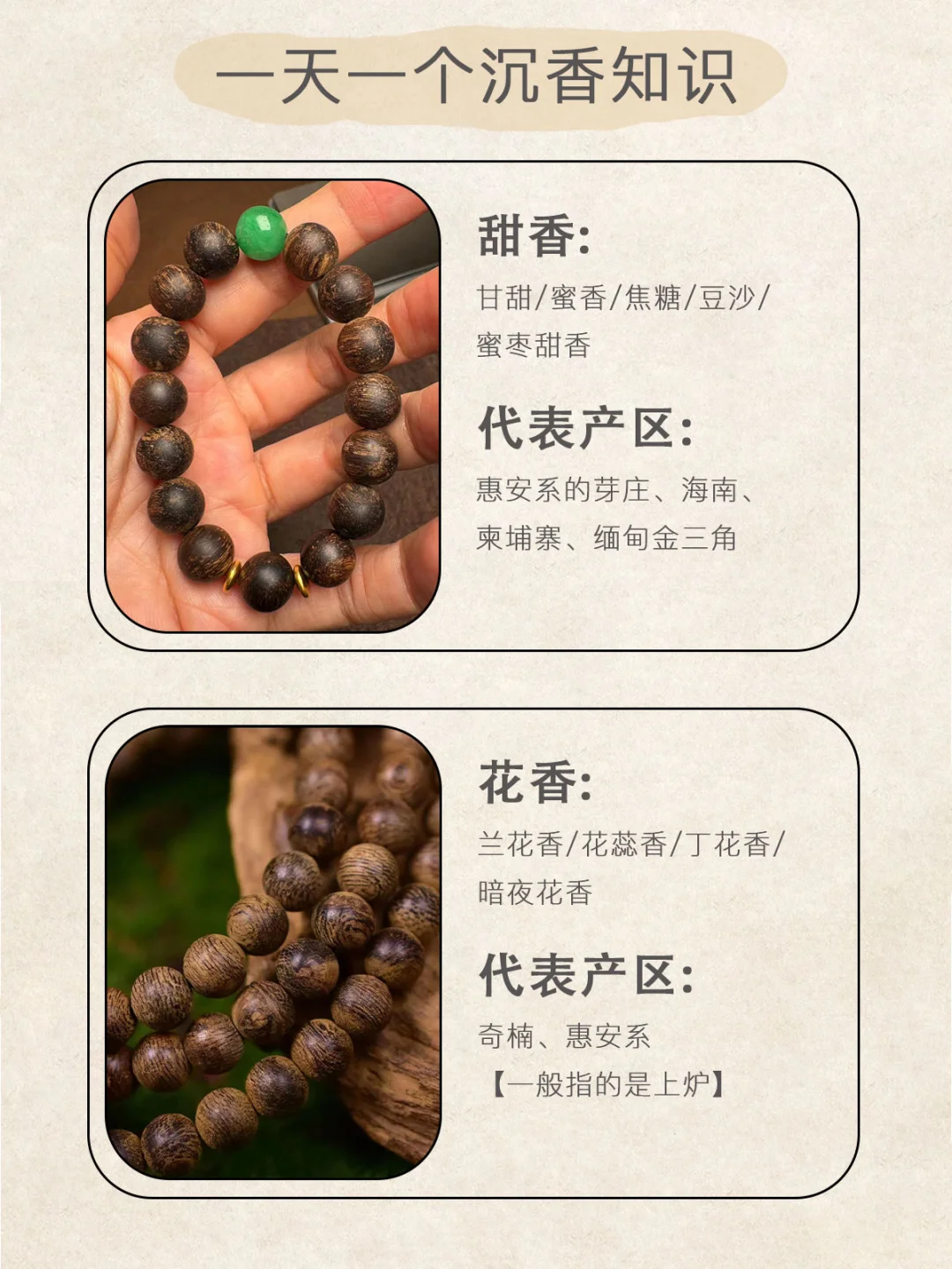 学会这30个品香术语｜你也能出口成章