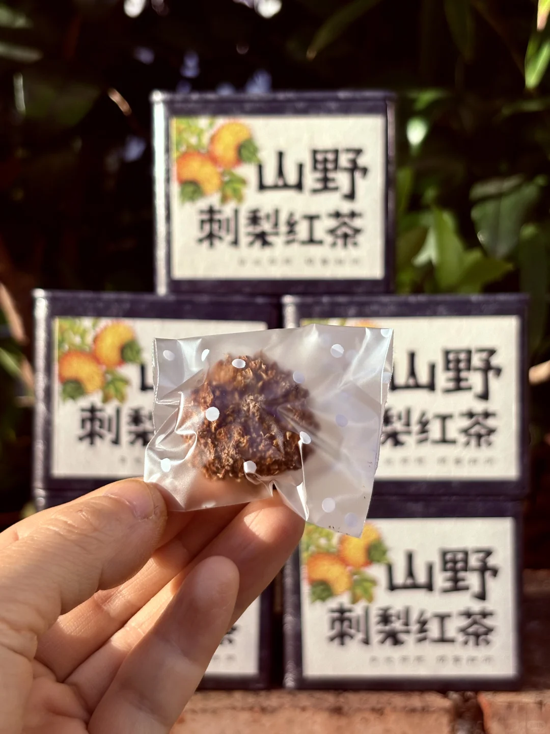 野生刺梨裹着古树甜，越泡越有料！