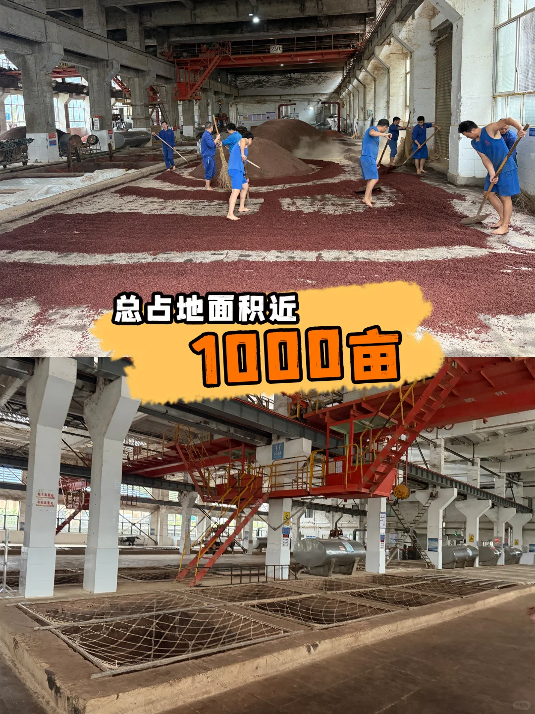 贵酒你别藏了！打卡斥资近50 亿建的酒厂~