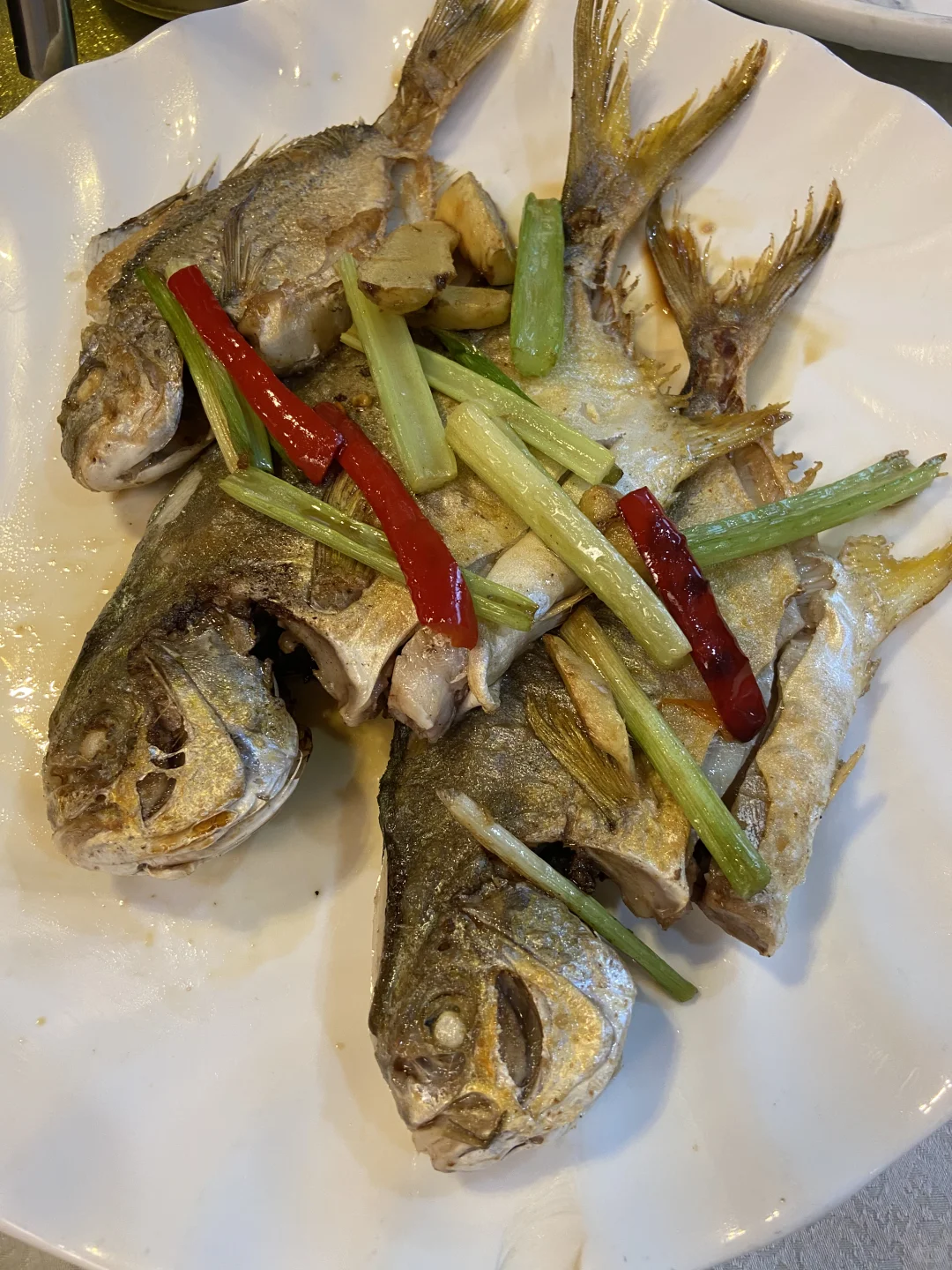 在东莞！在东莞！沙田海鲜市场