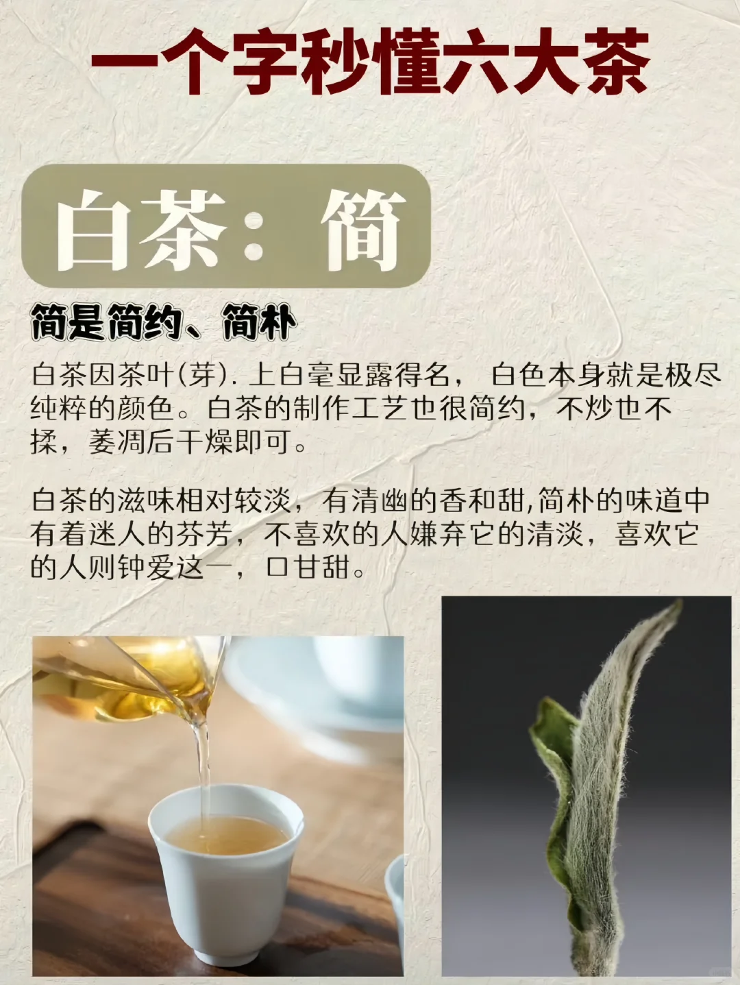 一个字秒懂六大茶类，小白速进！
