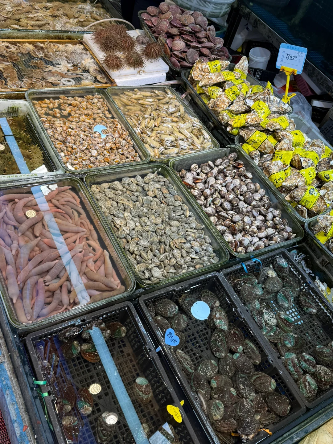 青岛海鲜坠肥的季节｜海鲜加工最全攻略来啦