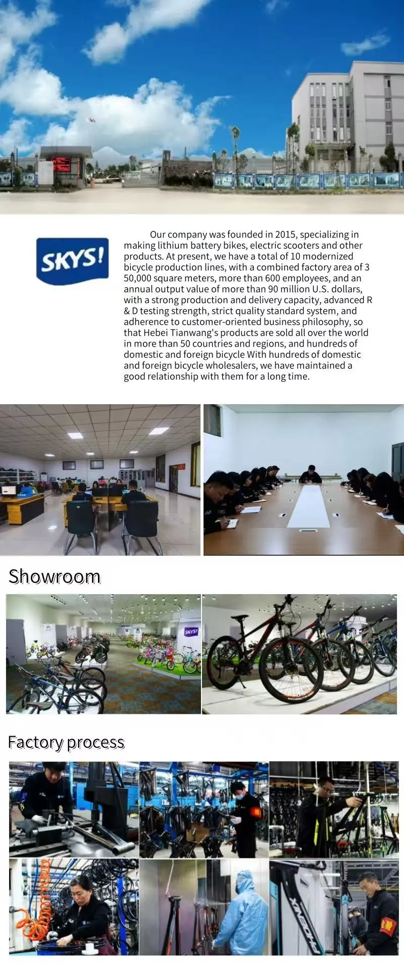 ?【12年源头工厂】E-bike/E-scooter外贸直供