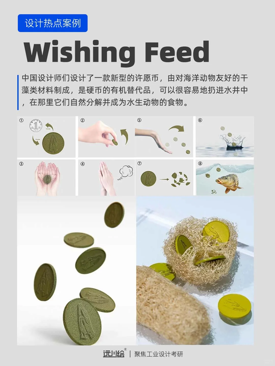 设计热点案例｜可持续设计