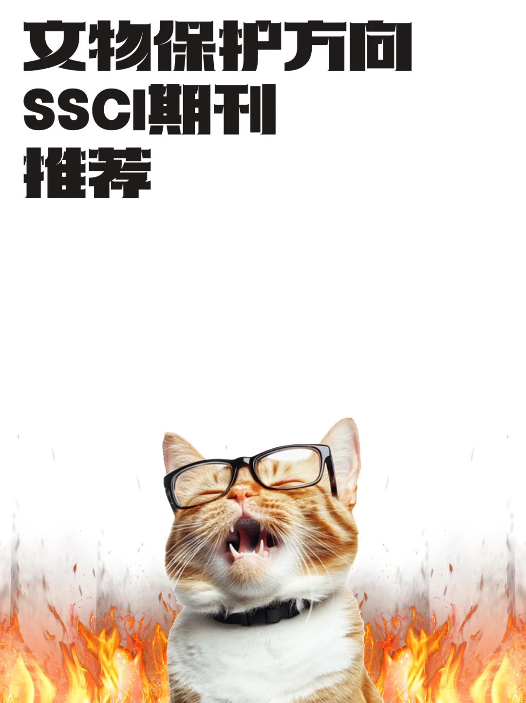 文物保护方向SSCI期刊推荐