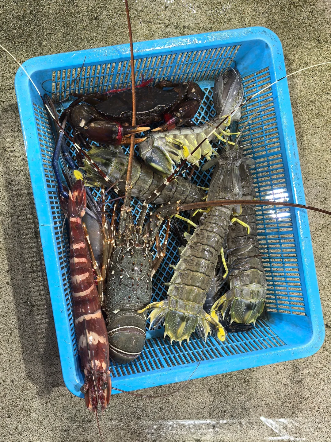 班赞海鲜市场砍价失败篇