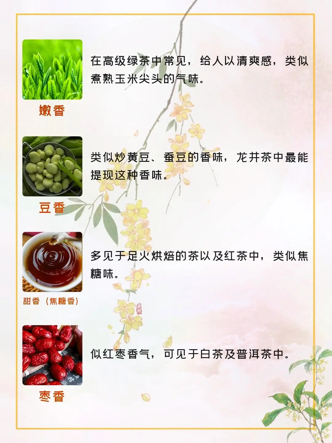 常见的20种茶香 你闻过几种呢❓