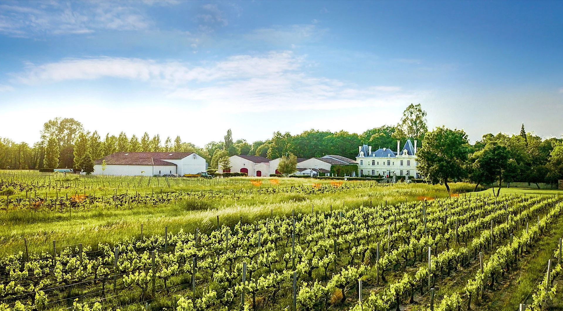 关税对于干邑产业可谓是当头一棒！