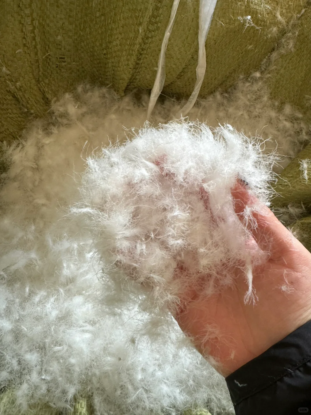 老爸叫我发网上卖，笑死，羽绒赛道行不行？