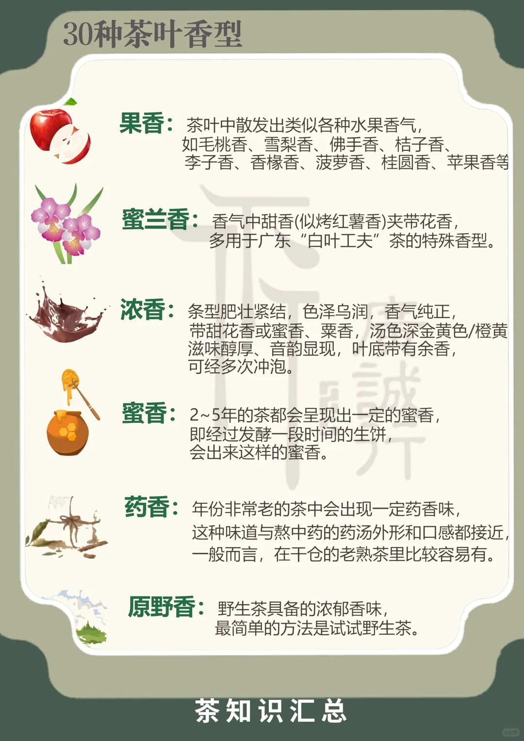 30种茶叶香型|看完就是品茶大佬