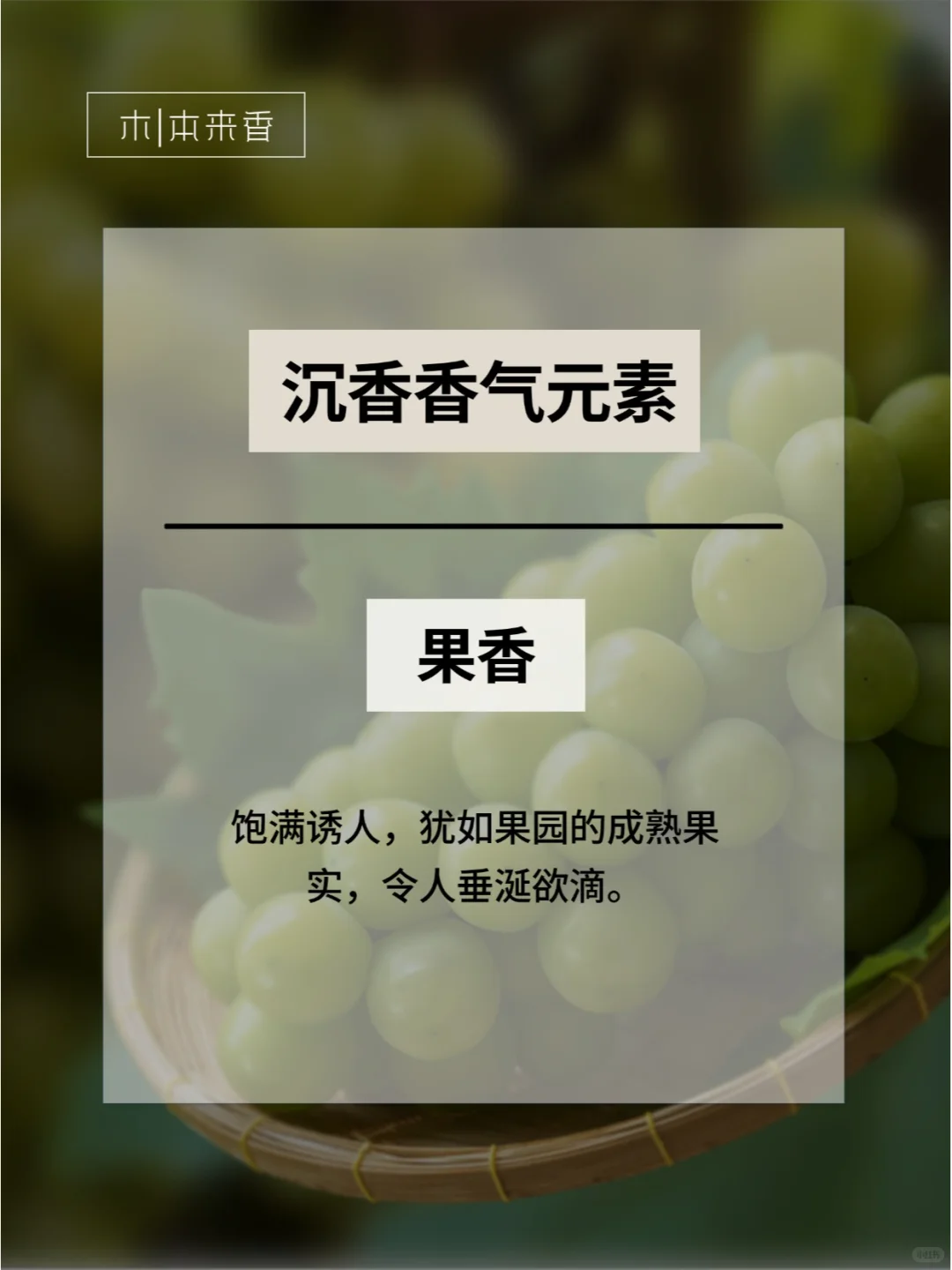 四大名香|组成沉香香气中的七种基础元素