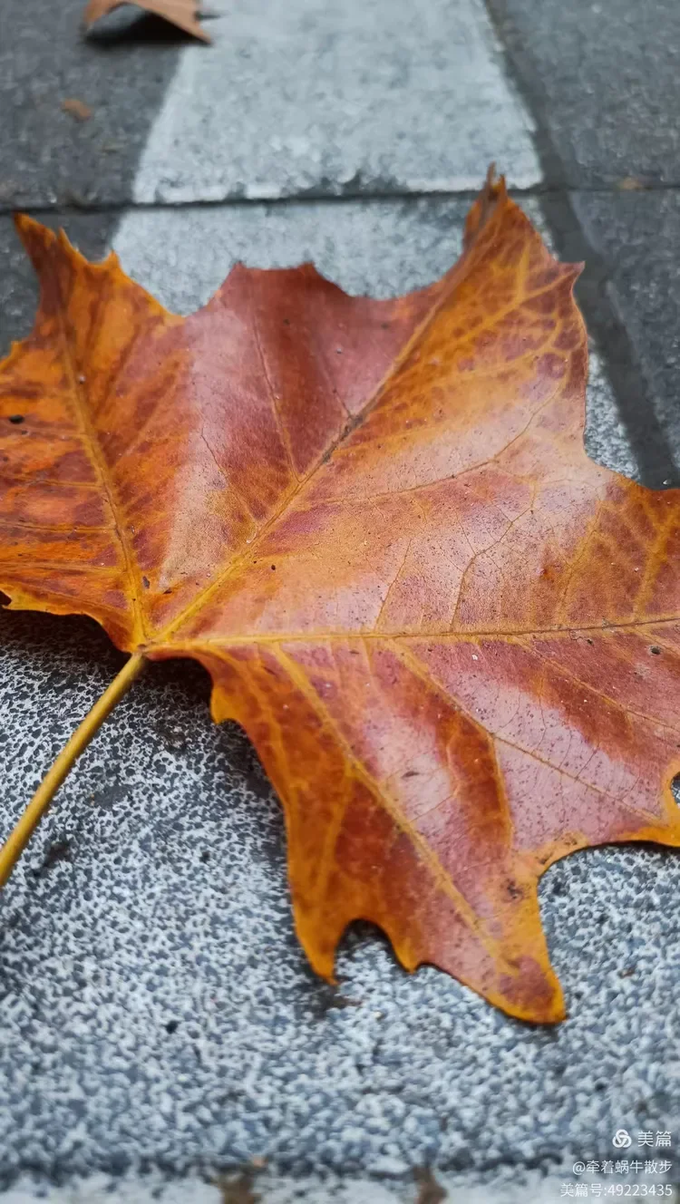 建议收藏——企业合规管理三项清单