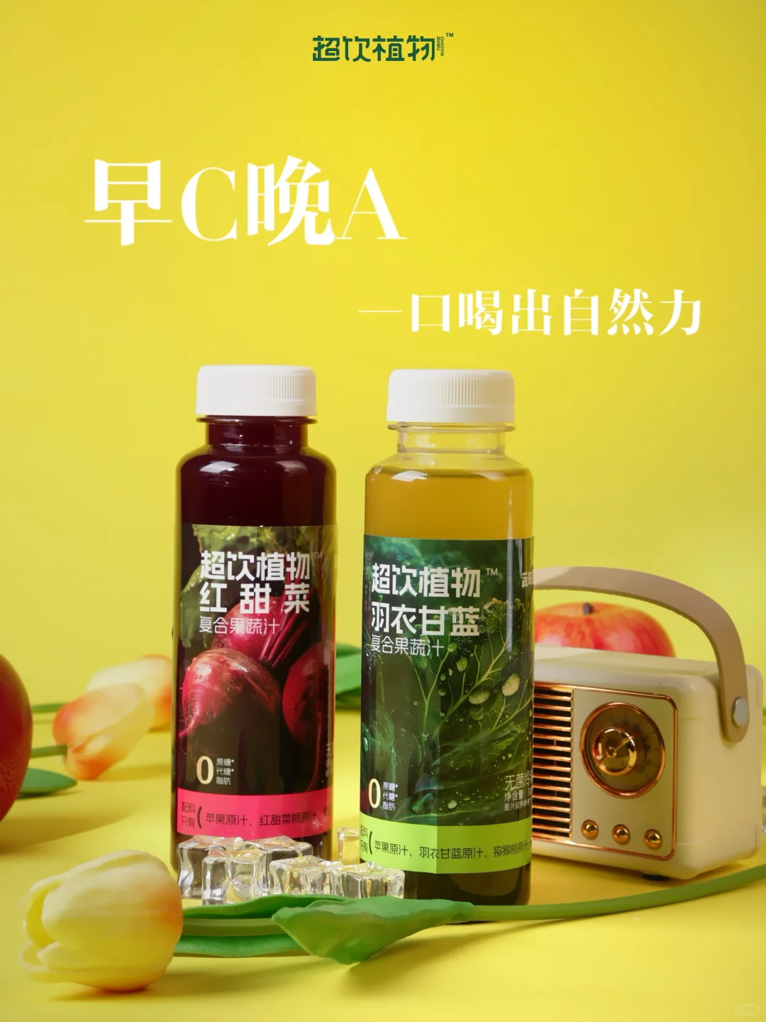 ?都市健康饮｜超饮植物开启活力轻生活✨