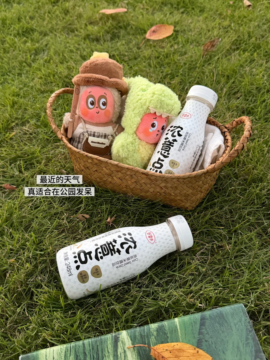 Autumn 好食在秋日