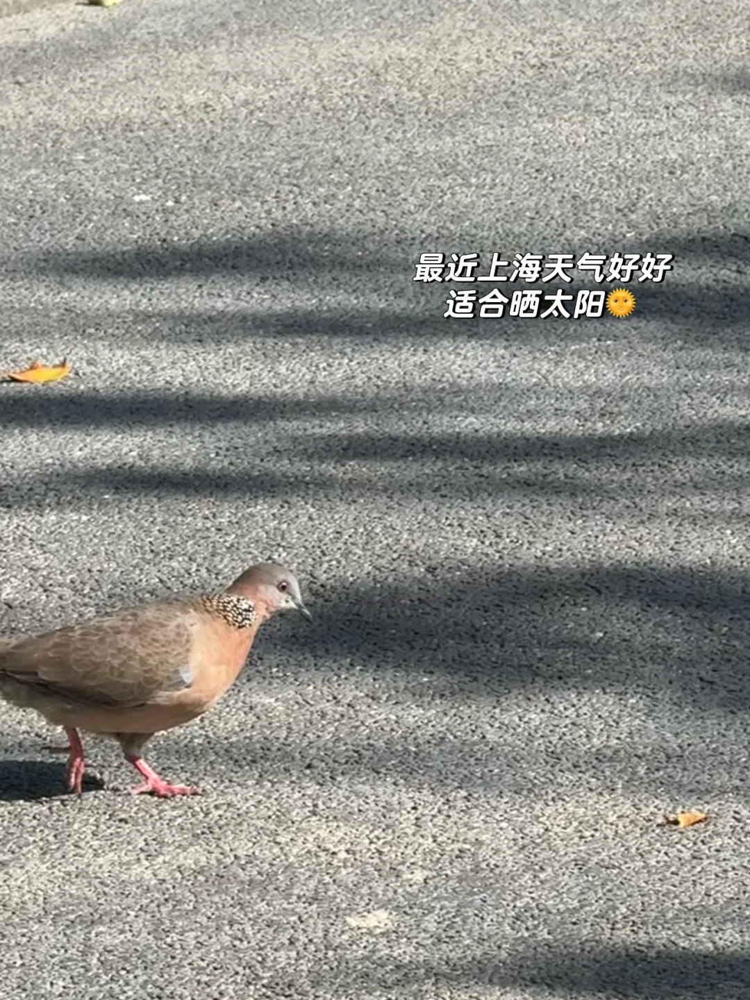 A股，十年再破4000点，这次真的不一样！