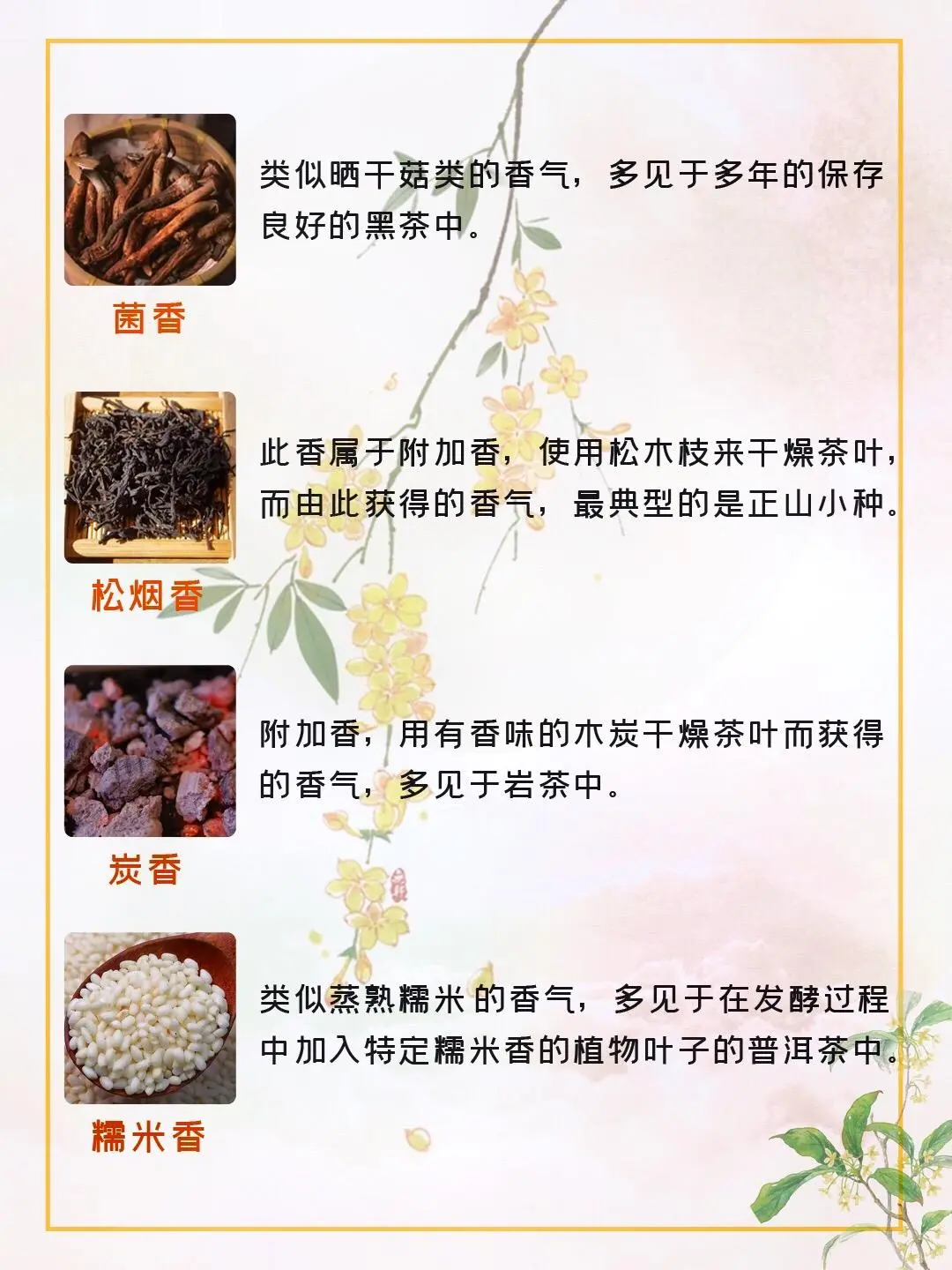 常见的20种茶香 你闻过几种呢❓