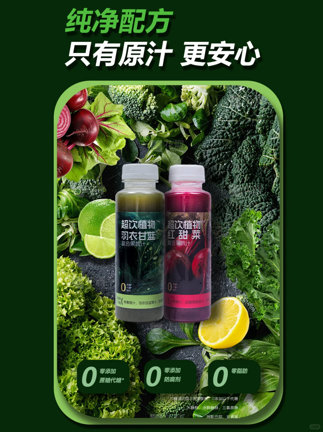 ?都市健康饮｜超饮植物开启活力轻生活✨