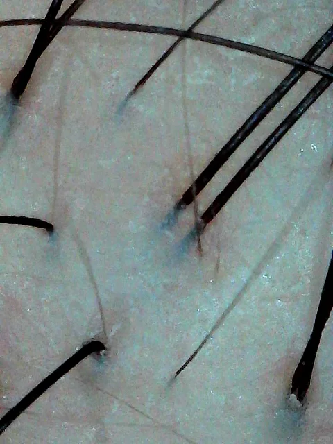 #生姜饮品新用法被我挖到了 109元