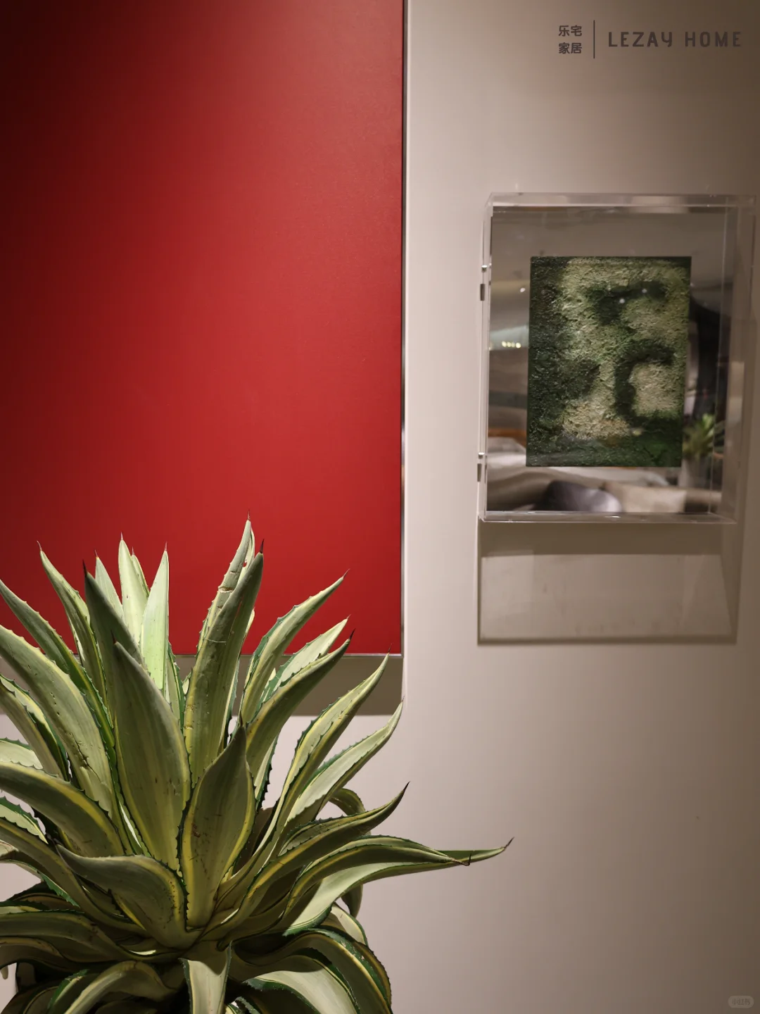 宁波人才知道！软装必逛的全案家居馆