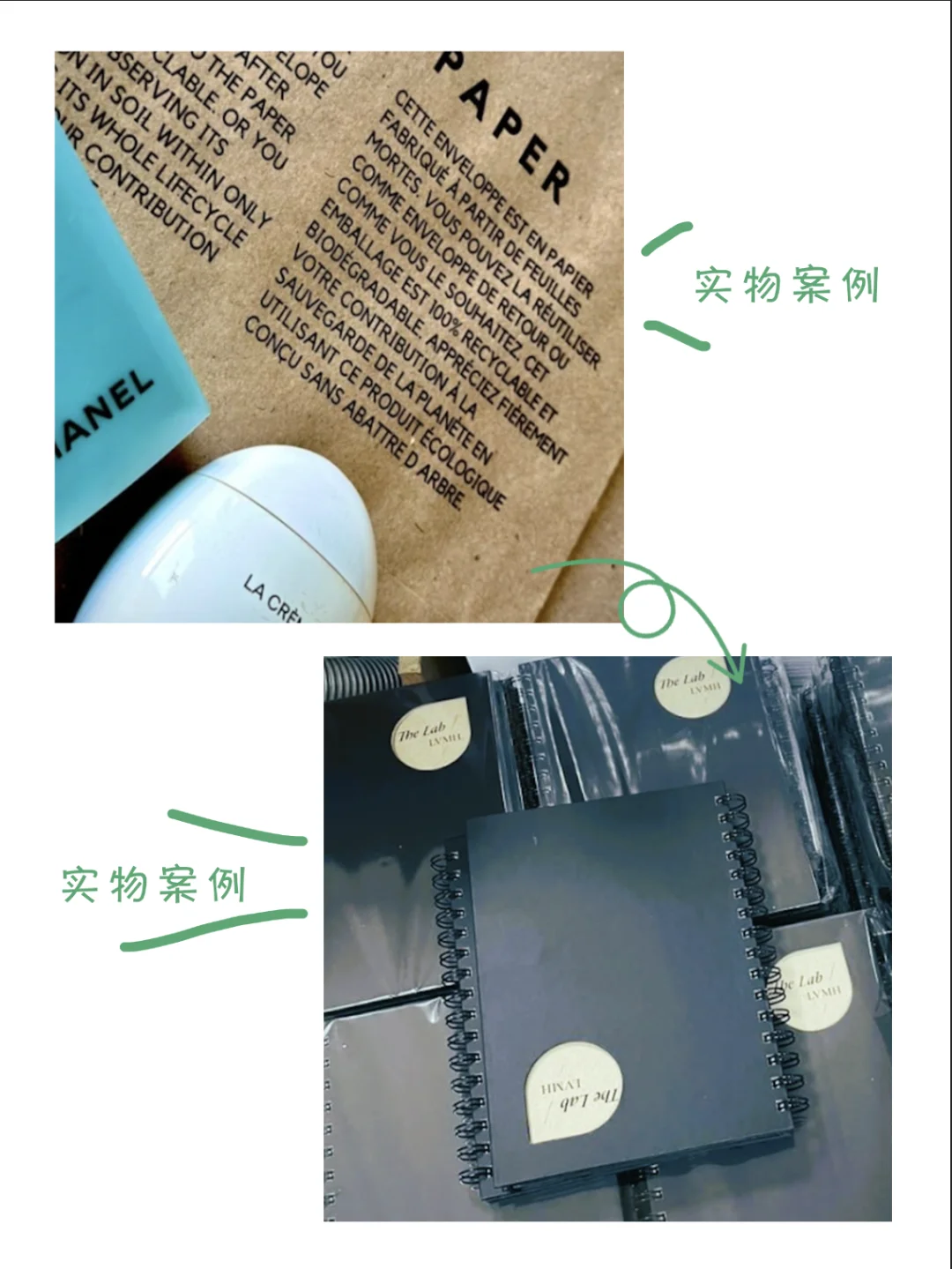 ?循环经济新风口?城市落叶竟?变成纸⁉️