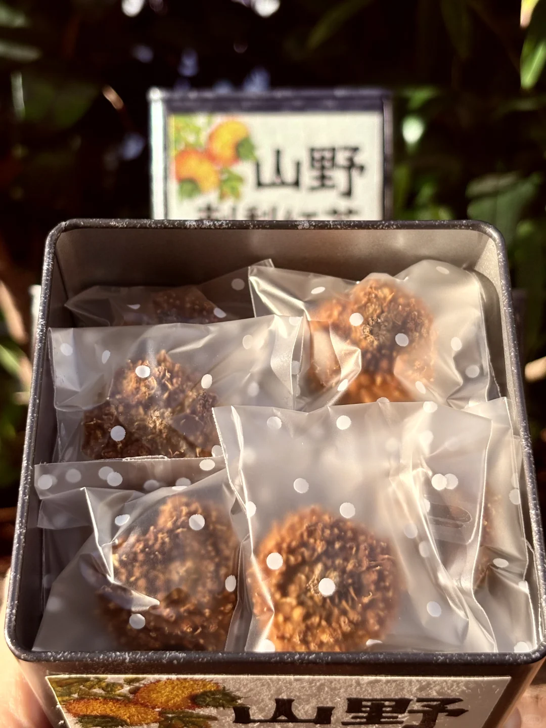 野生刺梨裹着古树甜，越泡越有料！