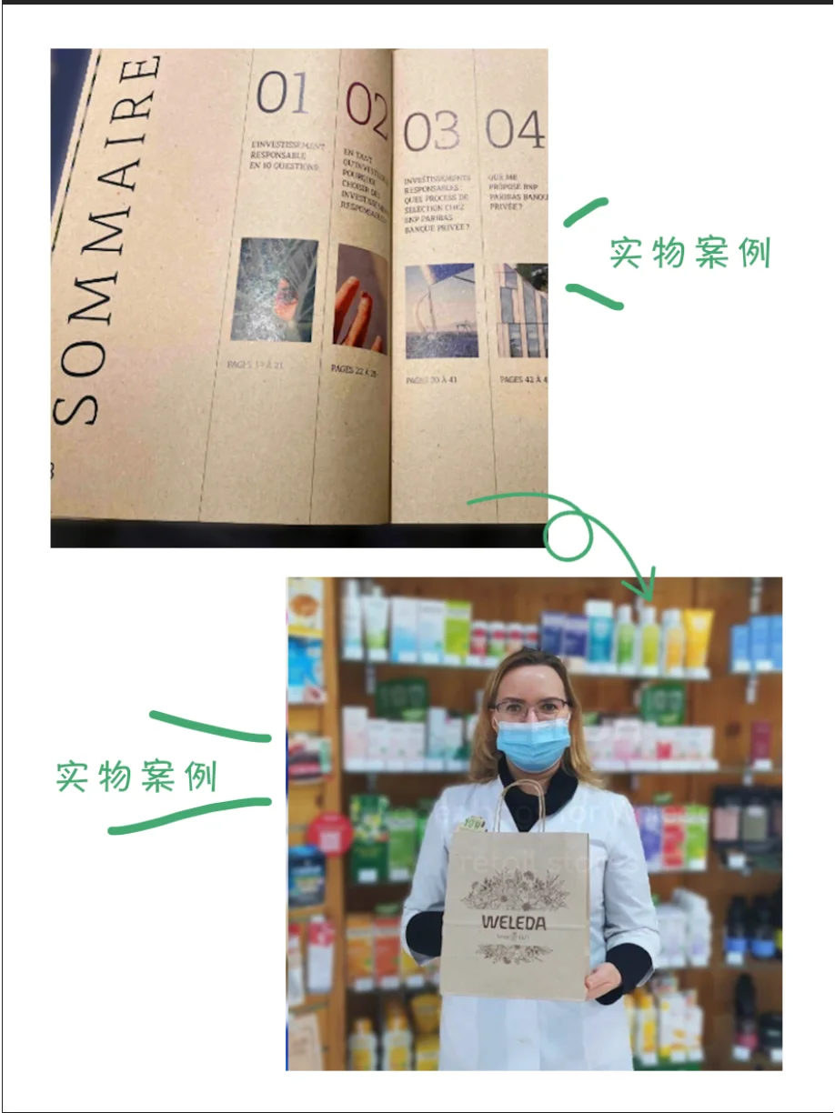 ?循环经济新风口?城市落叶竟?变成纸⁉️