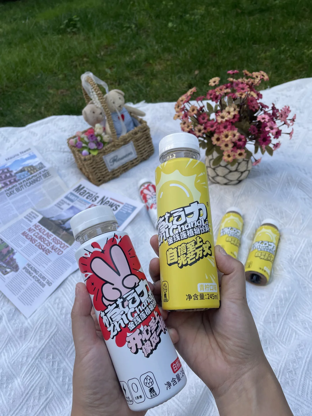 ?来自云南的惊喜 金线莲植物饮料～