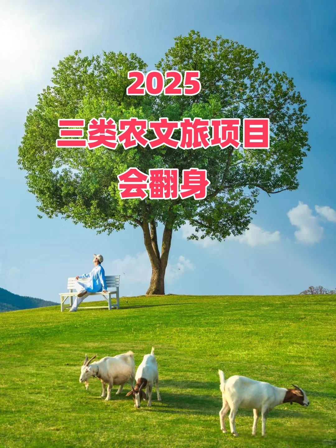 2025农文旅项目发展趋势方向