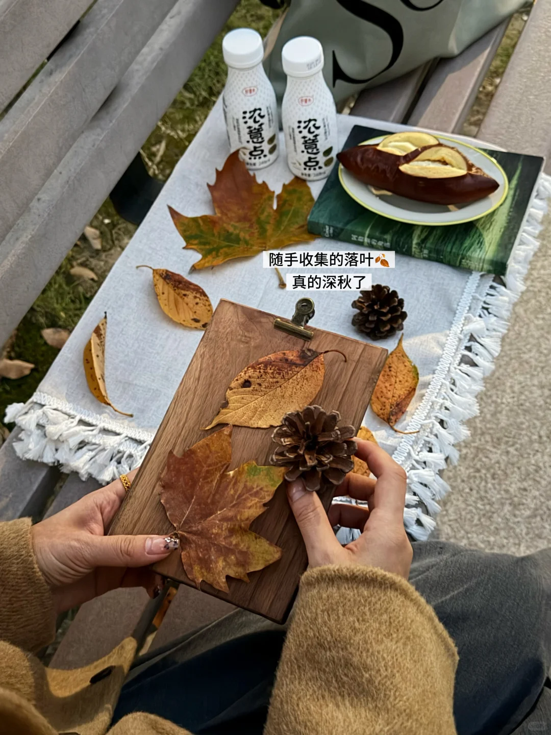 Autumn 好食在秋日