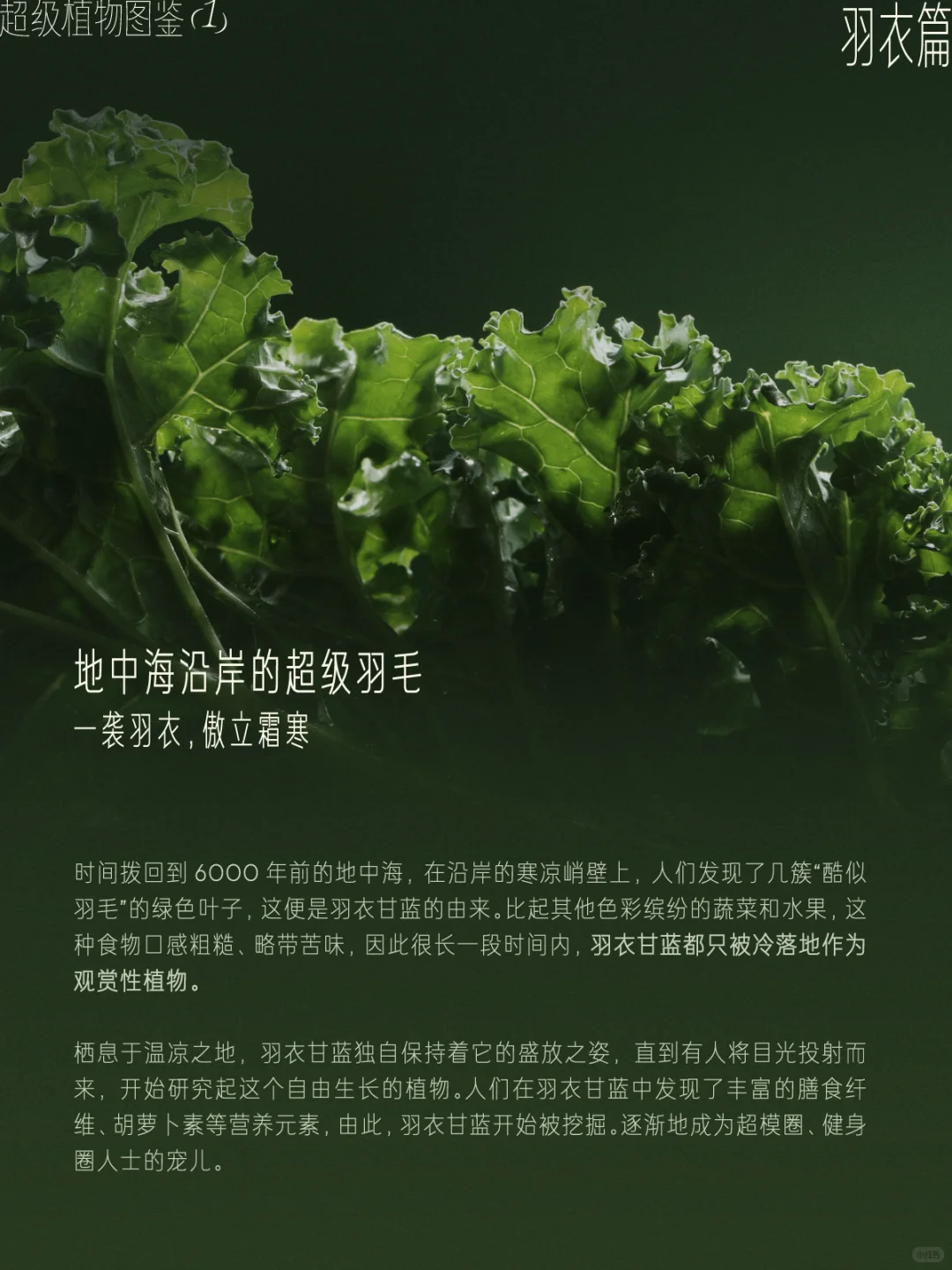 ?从一抹绿色出发，探访超级植物茶