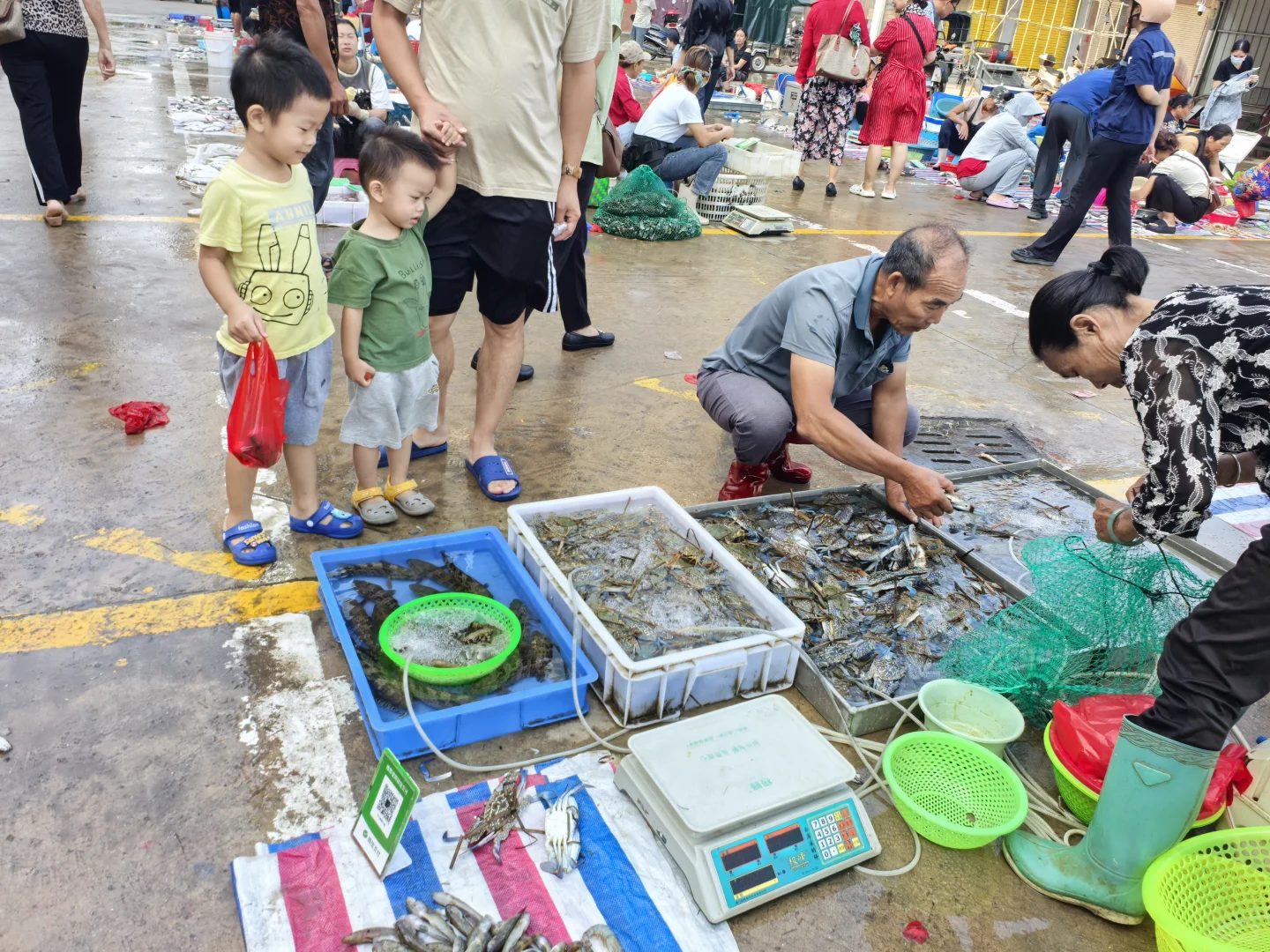 钦州犀牛镇丝罗市场买逛攻略