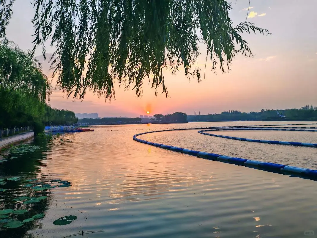 国有企业合规管理制度汇编