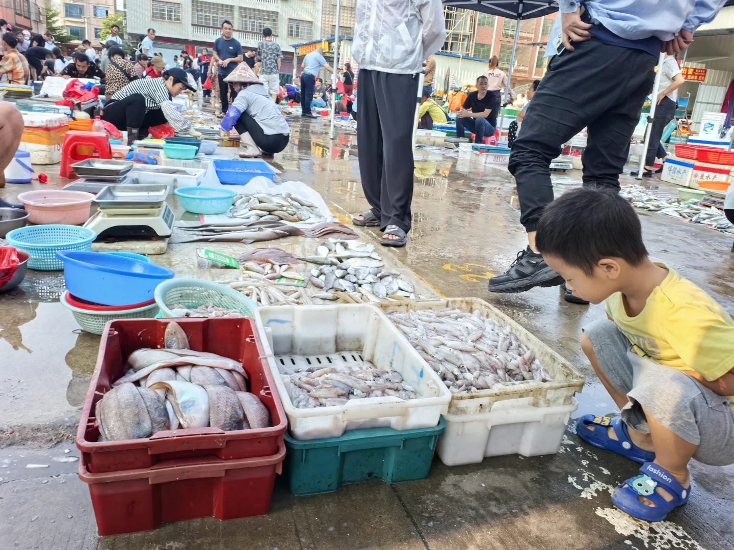 钦州犀牛镇丝罗市场买逛攻略