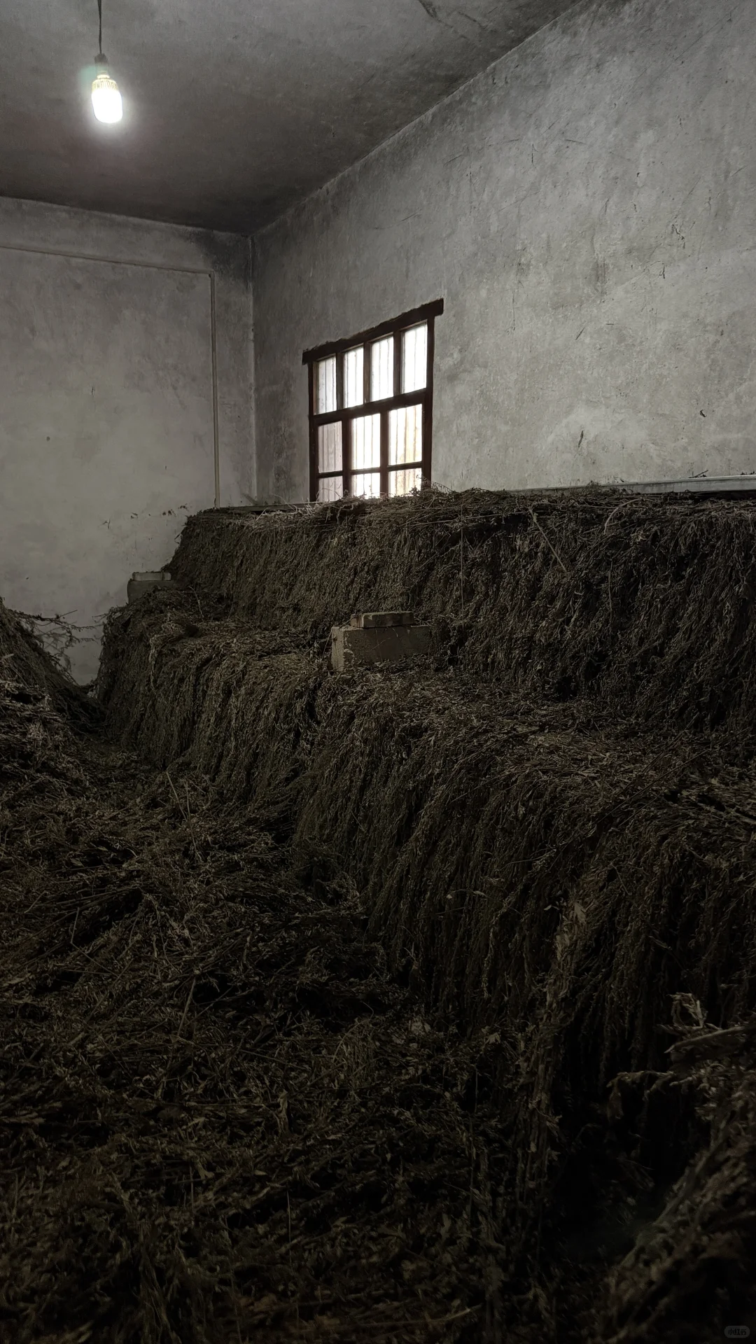 被褐怀玉；广结善缘。