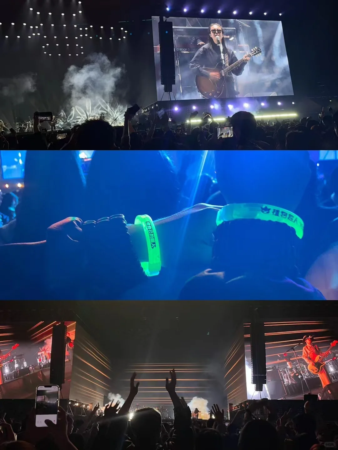 植物超人?音乐节高燃现场回顾