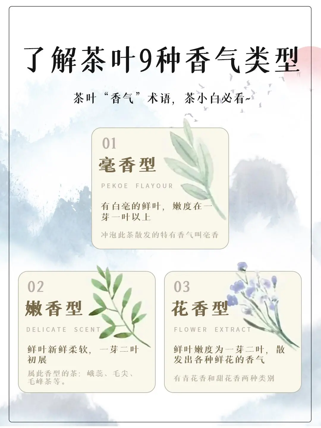 茶叶的9种香气类型 建议收藏