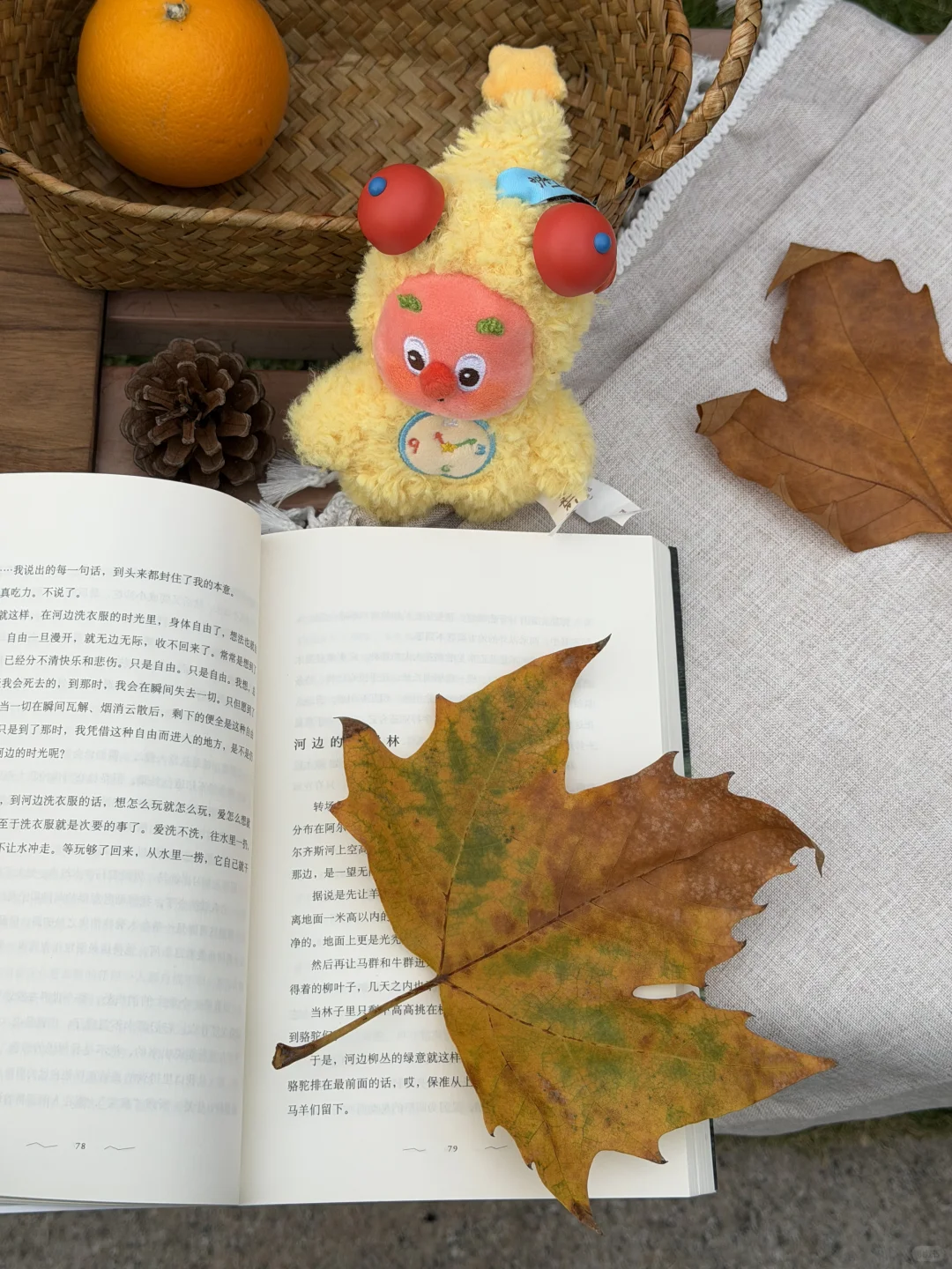 Autumn 好食在秋日