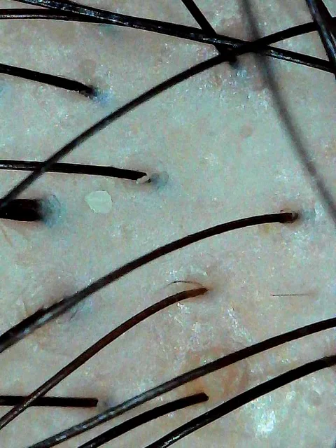 #生姜饮品新用法被我挖到了 109元