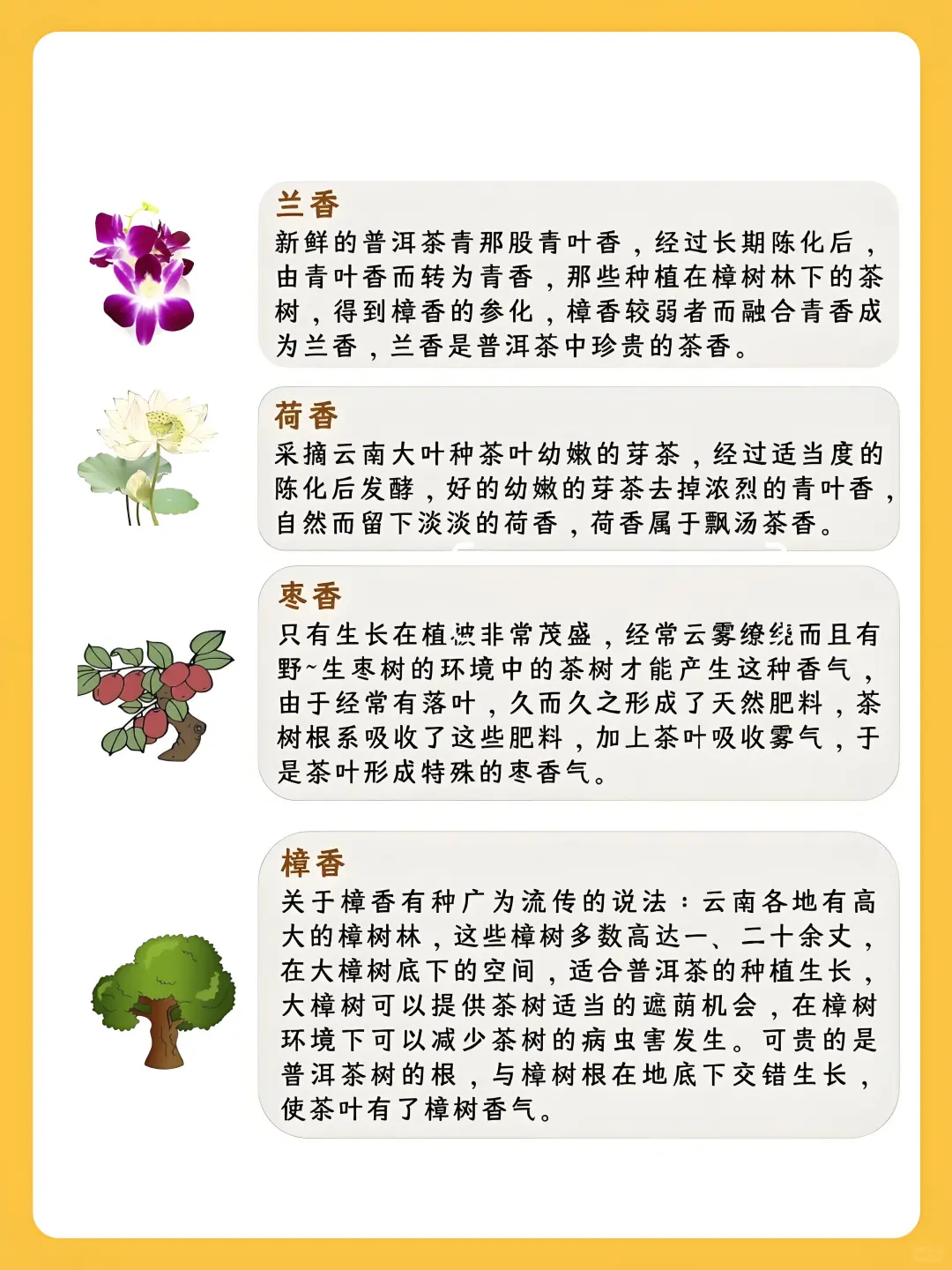 炸裂！茶香700多种，这28种类型简直绝了！