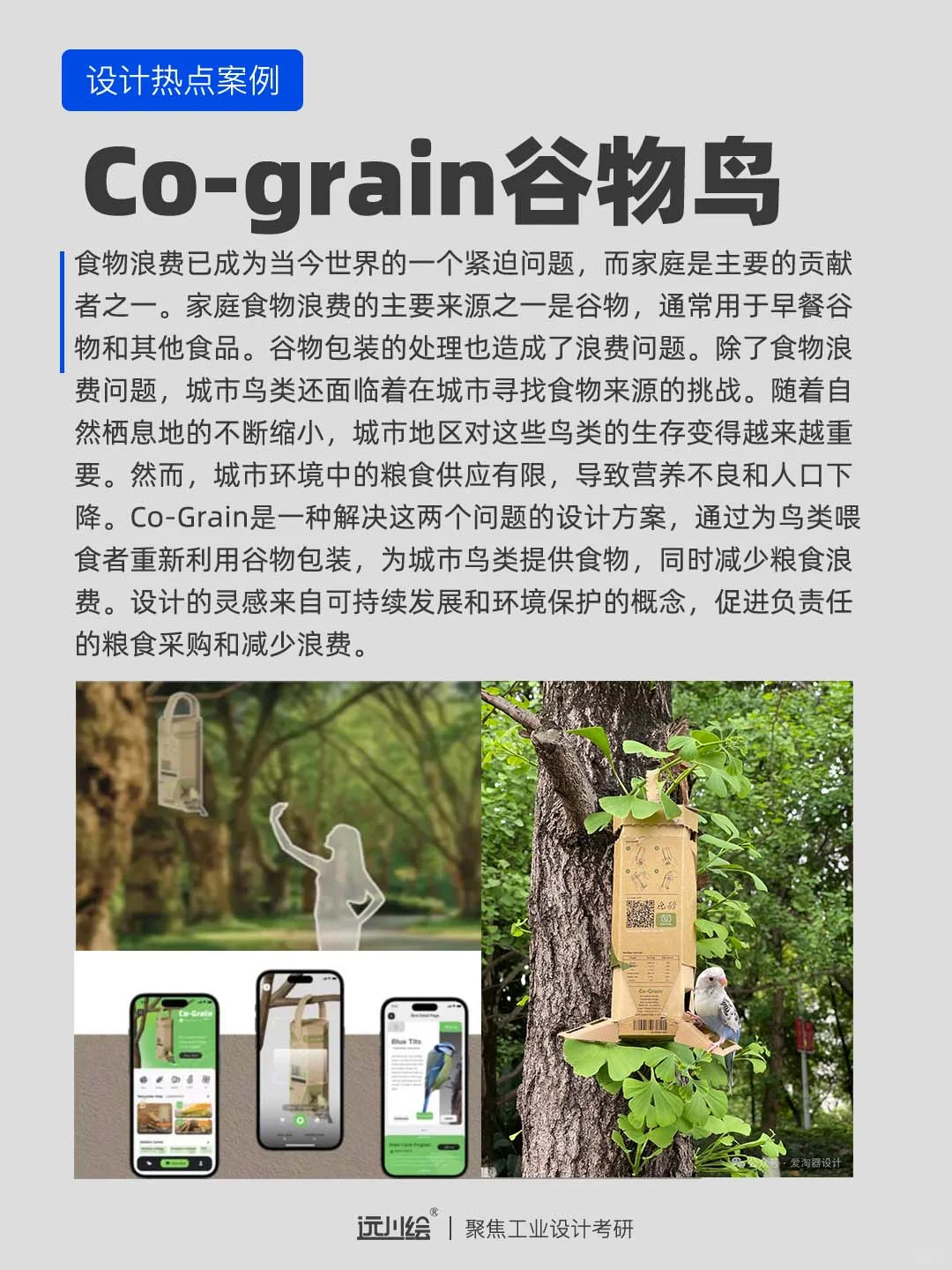 设计热点案例｜可持续设计