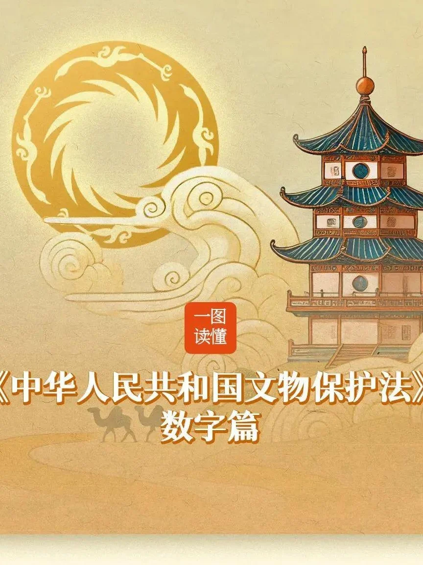 来看《中华人民共和国文物保护法》数字篇！