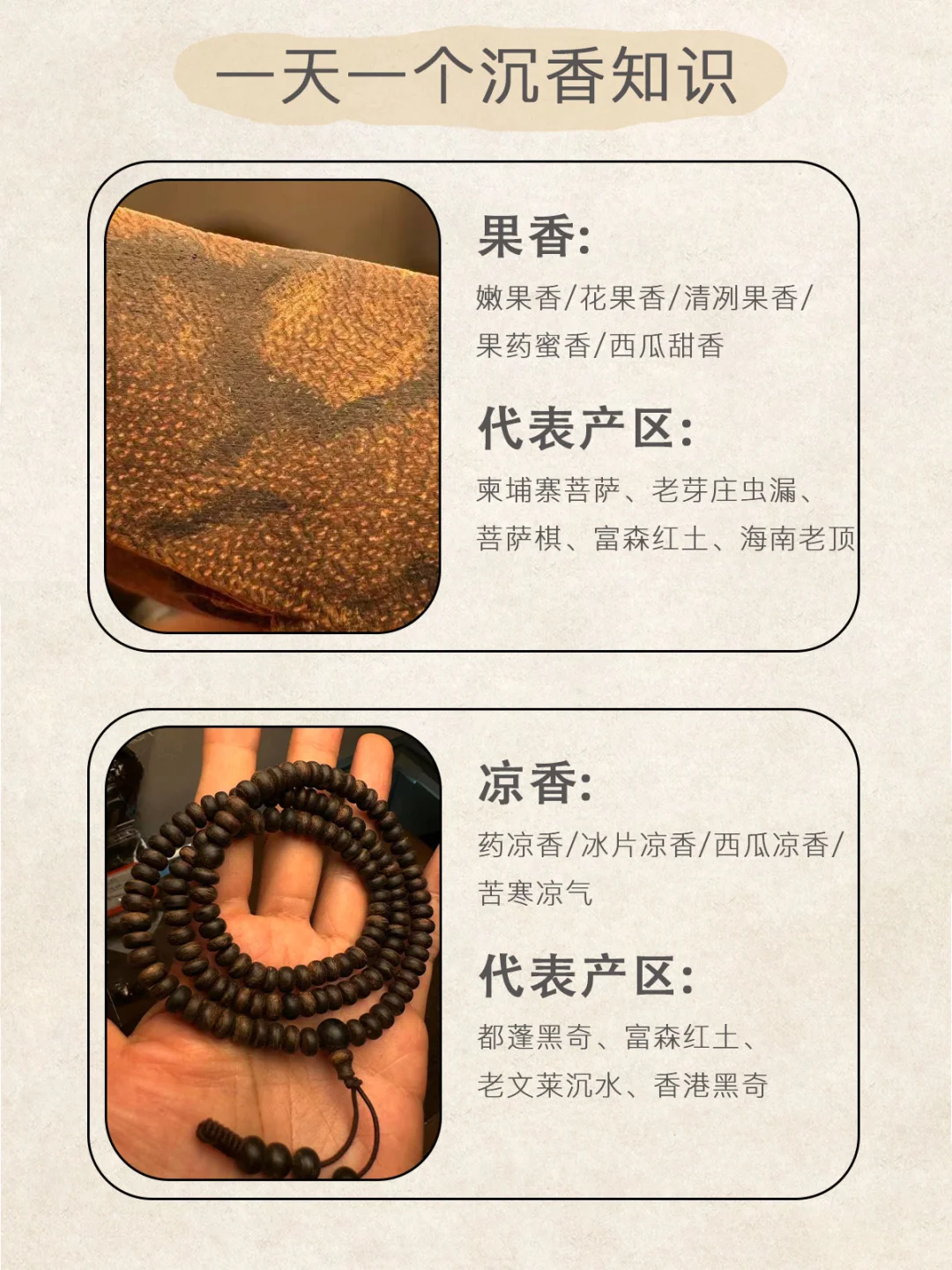 学会这30个品香术语｜你也能出口成章