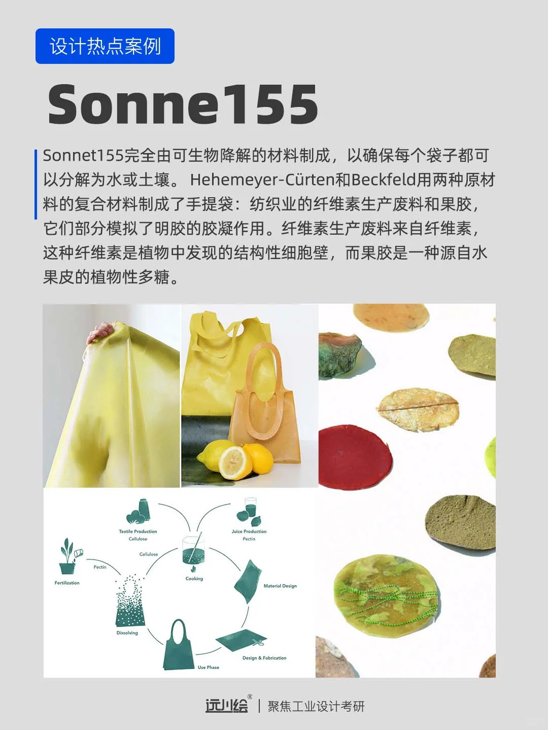 设计热点案例｜可持续设计