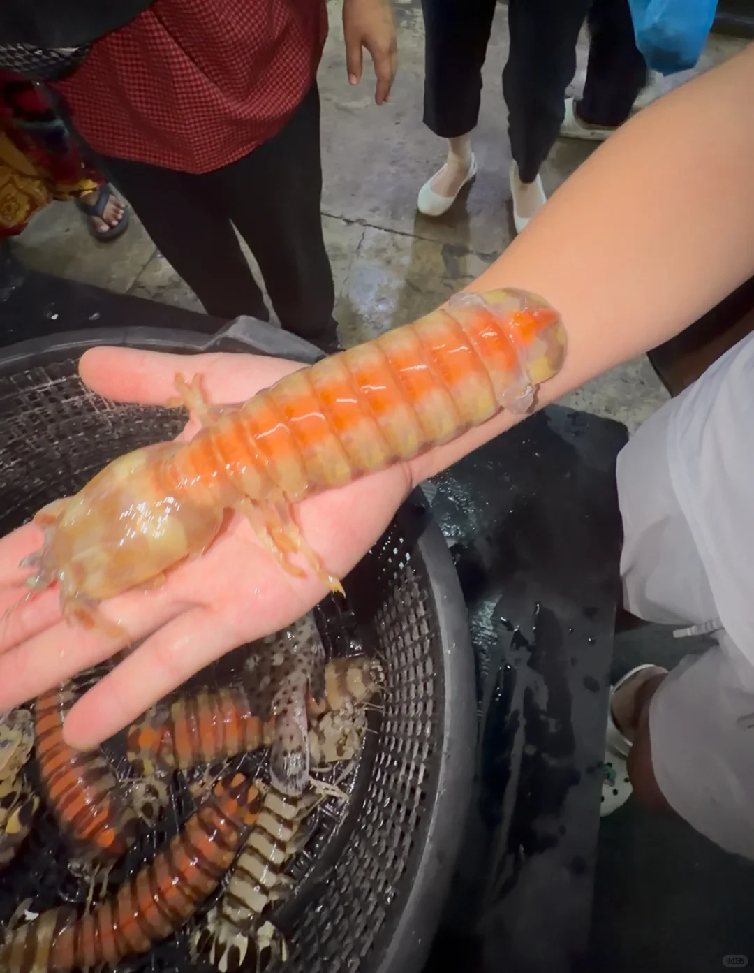 仙本那海鲜砍价价格参考