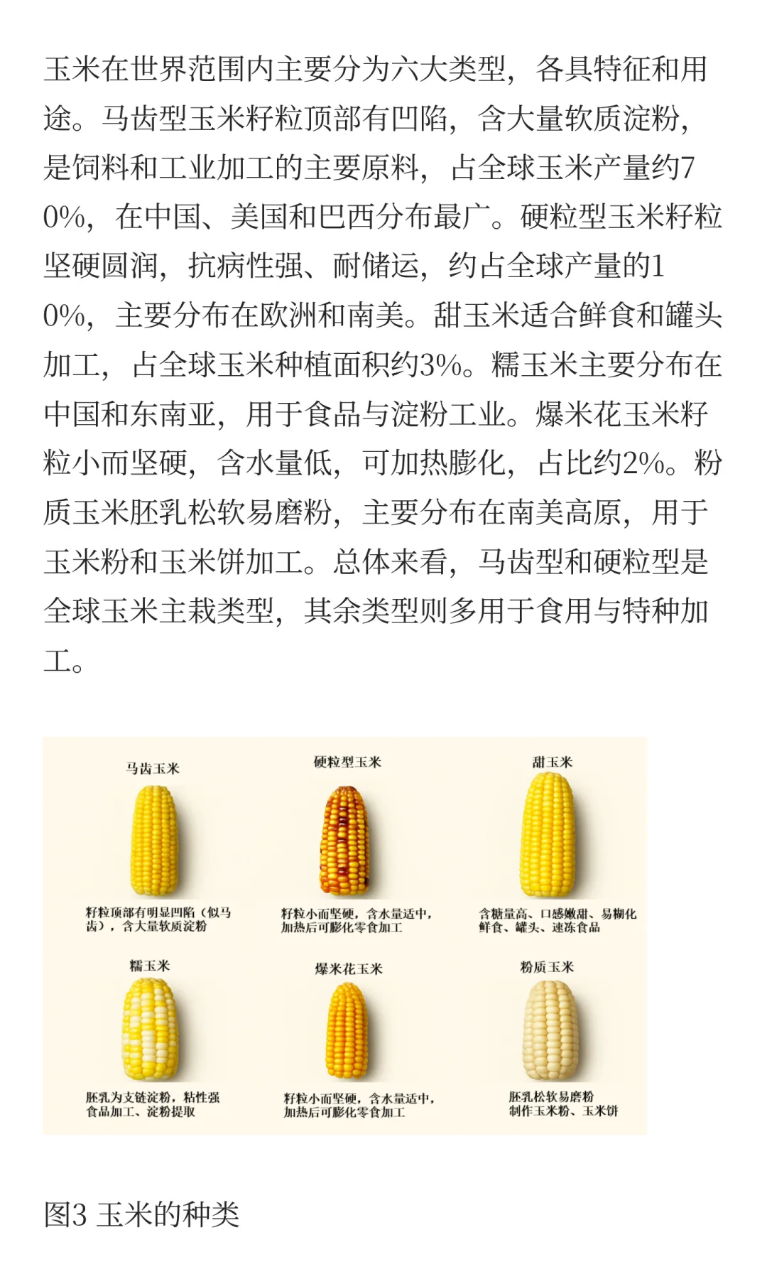 玉米的生产与贸易