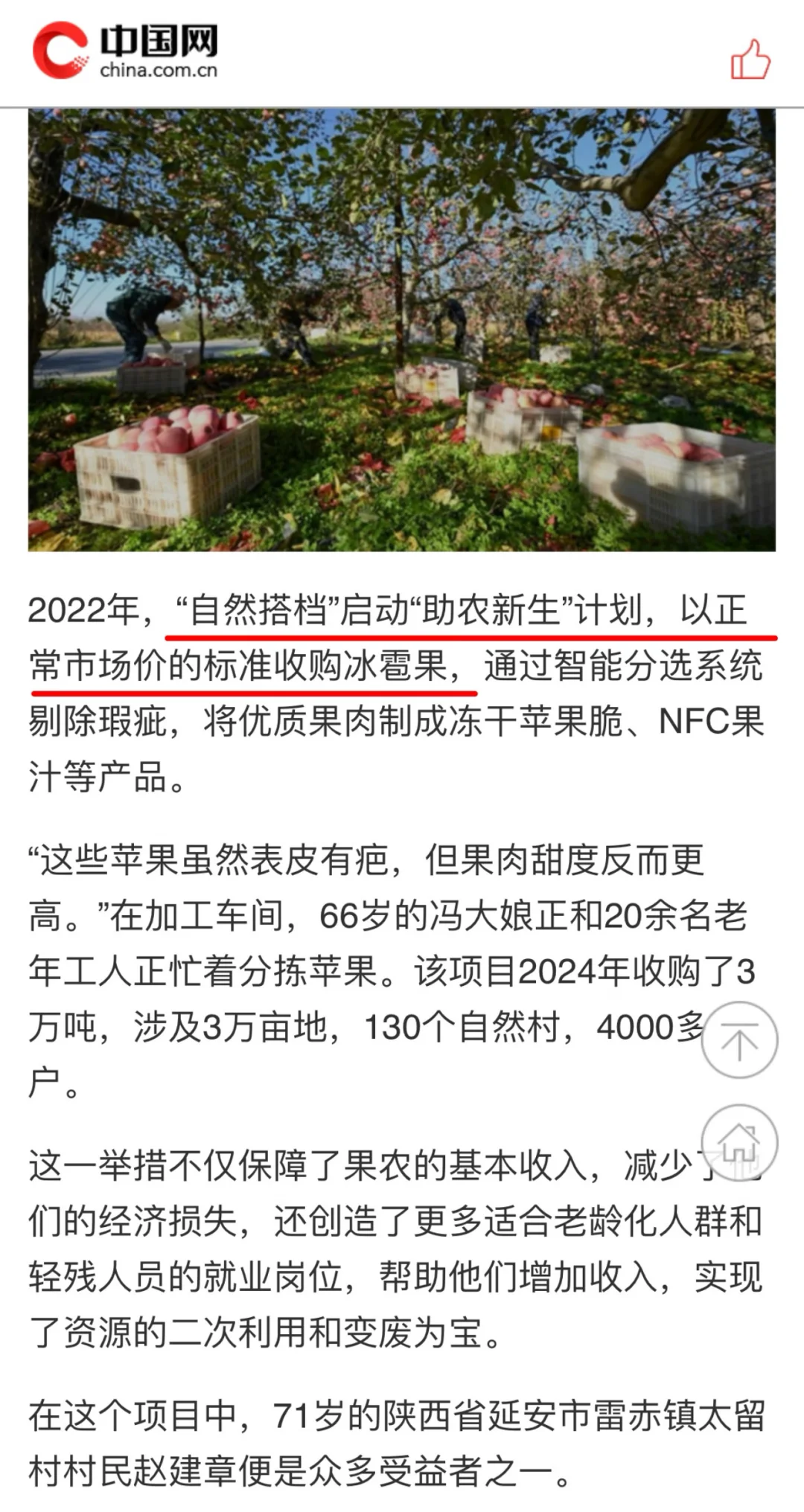 官媒中国网报道赵露思支持果农和乡村振兴，