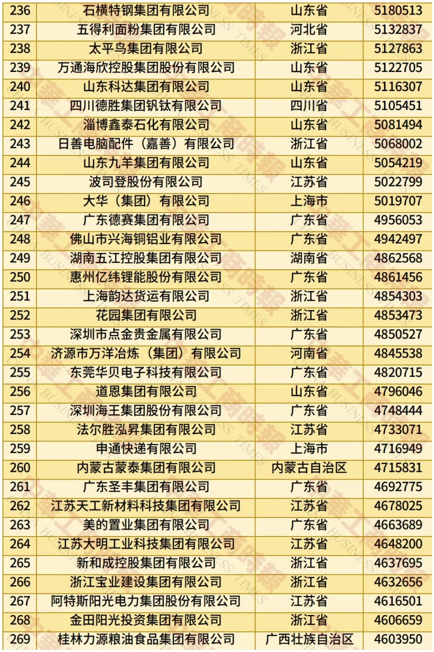 2025中国民营企业500强榜单