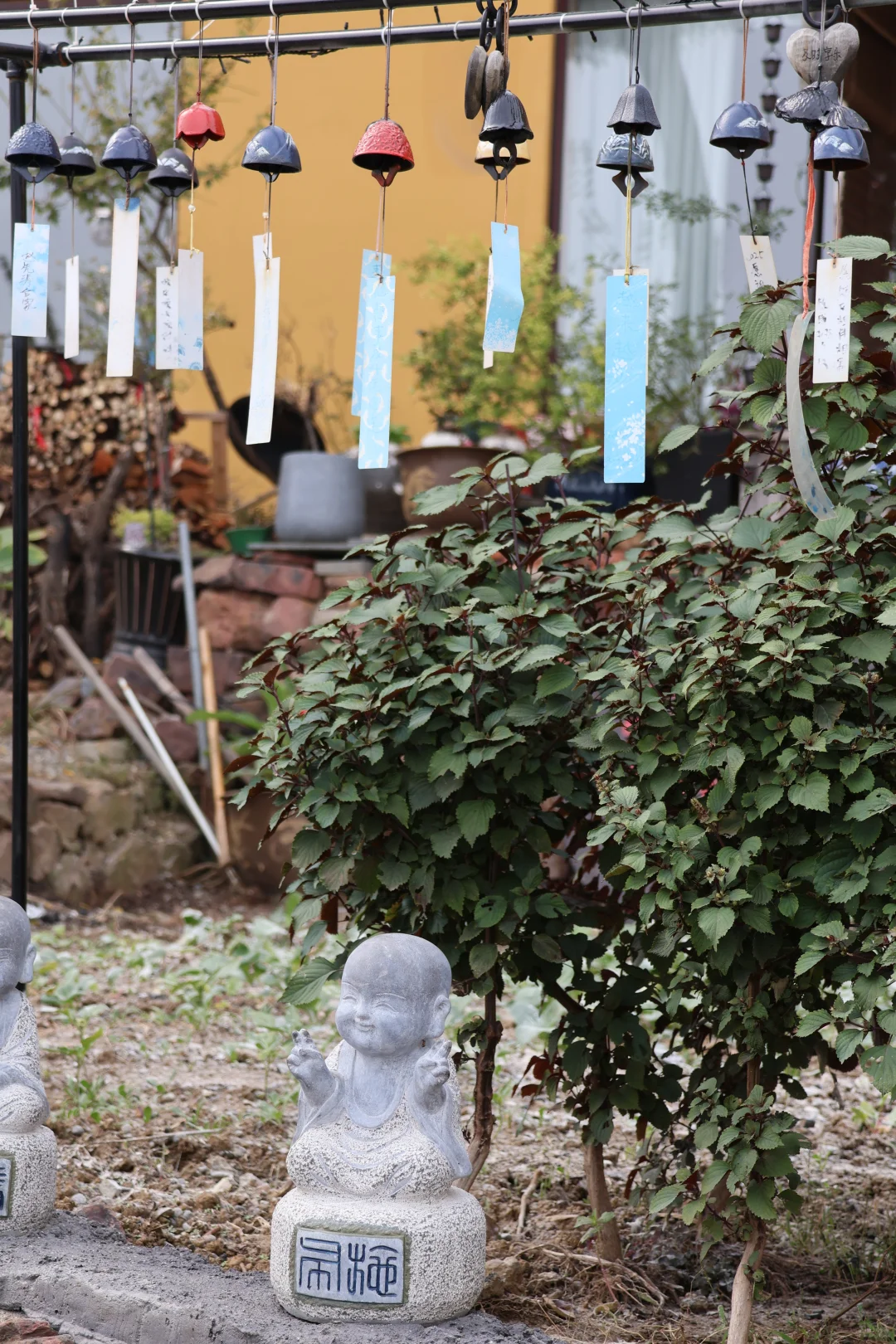 开启徒步新副本之苏州旺山