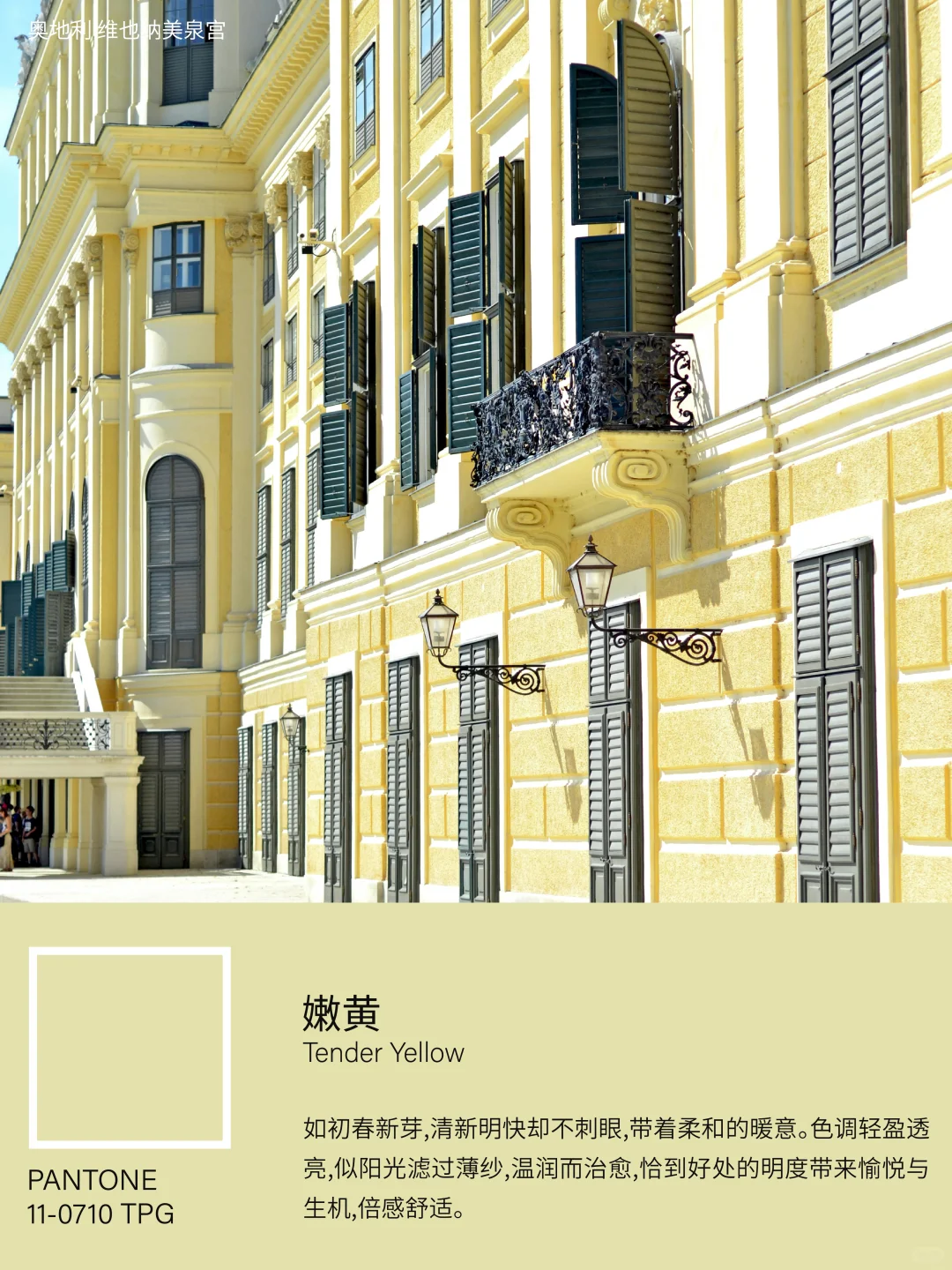 色彩趋势｜2026春夏趋势色彩灵感